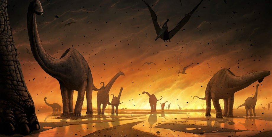 Theme park development illustration